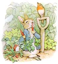 The Tale Of Peter Rabbit (Beatrix Potter)