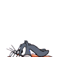 rabbit1.gif
