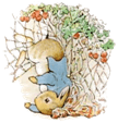 the-tale-of-peter-rabbit-13.jpg