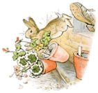 the-tale-of-peter-rabbit-18.jpg