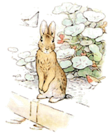 the-tale-of-peter-rabbit-19.jpg