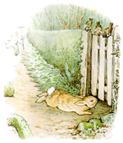 the-tale-of-peter-rabbit-23.jpg