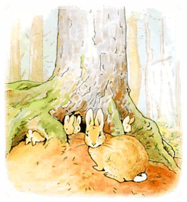 the-tale-of-peter-rabbit-2.jpg