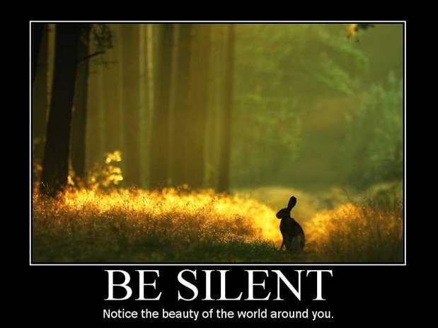 D:\Мои документы\90_Motivational_Posters_jpg\90 Motivational Posters\38-Be Silent.jpg