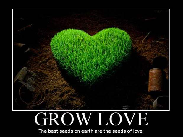 D:\Мои документы\90_Motivational_Posters_jpg\90 Motivational Posters\10-Grow Love.jpg