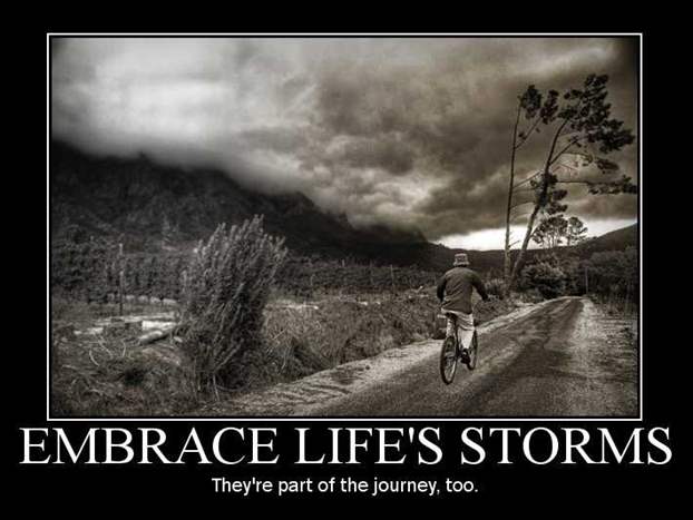 17-Embrace Life's Storms.jpg
