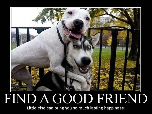 08-Find a Good Friend.jpg
