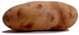 food172.jpg