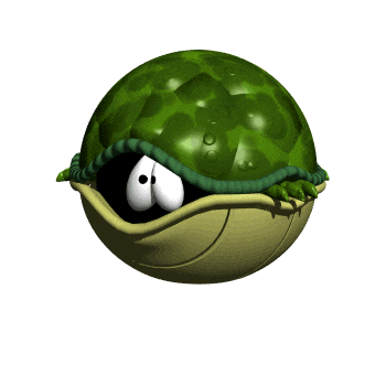 turtle_scared_hw.gif