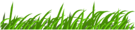 1234405342341465904rg1024_Grass_texture_svg_med.png