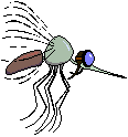 img12.gif