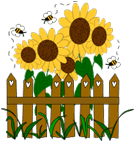 ccasunflowerfence.gif